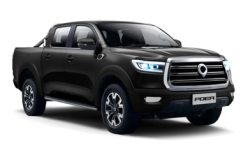 Great Wall Poer